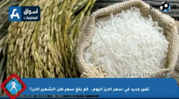 تغير جديد في سعر الأرز اليوم.. كم بلغ سعر طن الشعير الآن؟